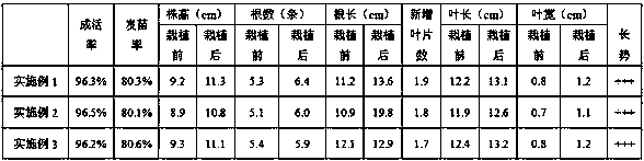 A kind of orchid cultivation method