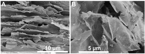 Carbon nano-sieve based on pearl layer, and preparation method thereof