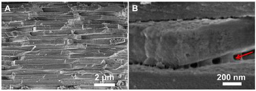 Carbon nano-sieve based on pearl layer, and preparation method thereof