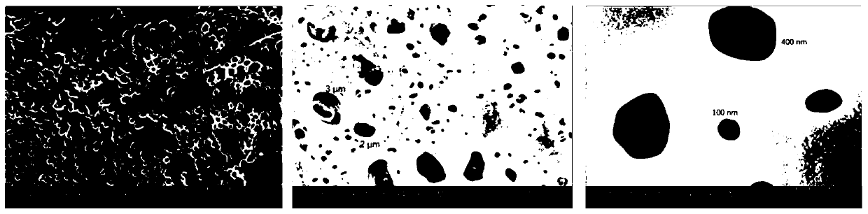 Method for performing surface multi-hole modification of P4HB patch and P4HB patch