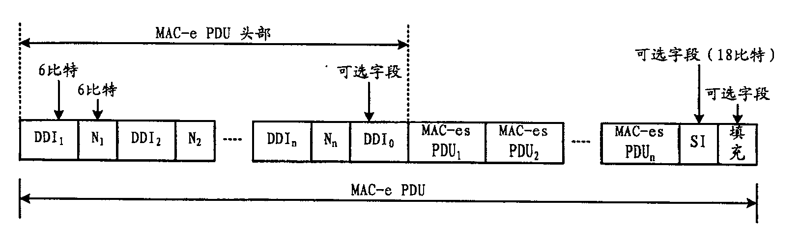 Method and system for transmitting optional field in data packet