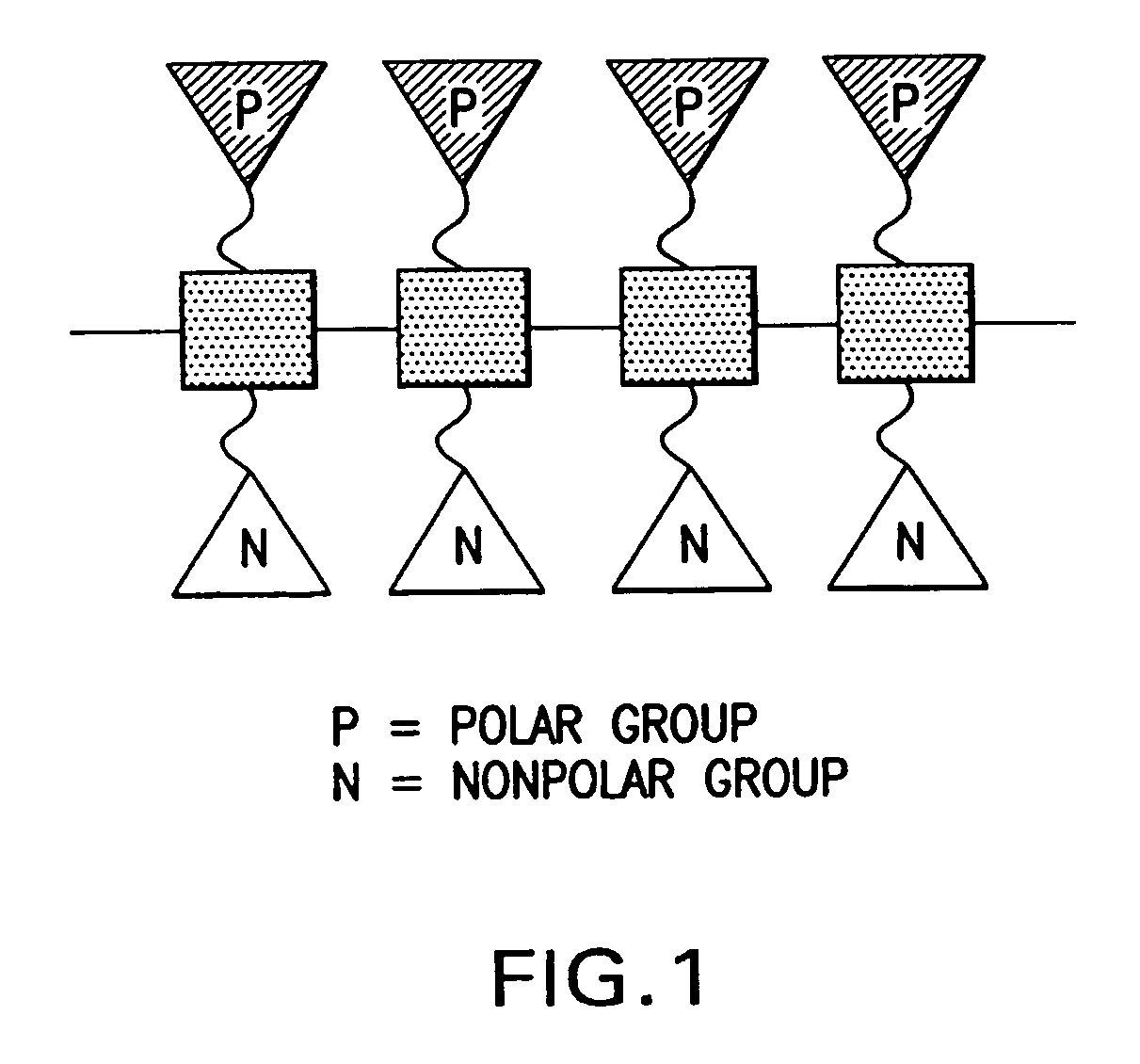 Facially amphiphilic polymers and oligomers and uses thereof