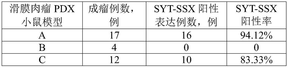 Synovial sarcoma organoid culture method and medium, and transplant and use thereof