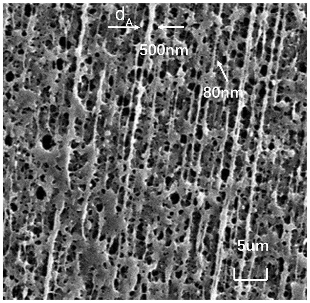 A kind of transparent polylactic acid film and its preparation method and application