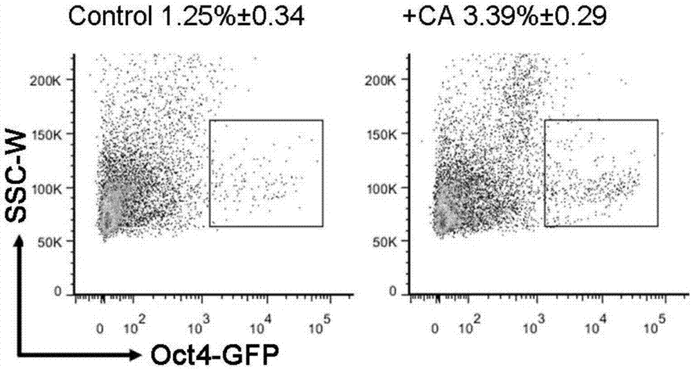 Method for activating two-cell-stage genes such as Zscan4 by virtue of crotonic acid and lengthening telomeres to improve chemically induced reprogramming efficiency