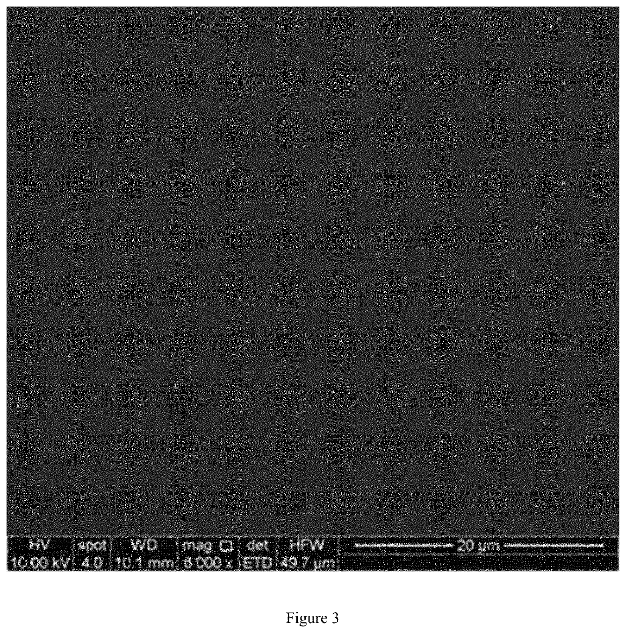 Aesculin sturgeon skin gelatin film with antioxidant activity and enterococcus faecalis detection ability and a method of preparing the same