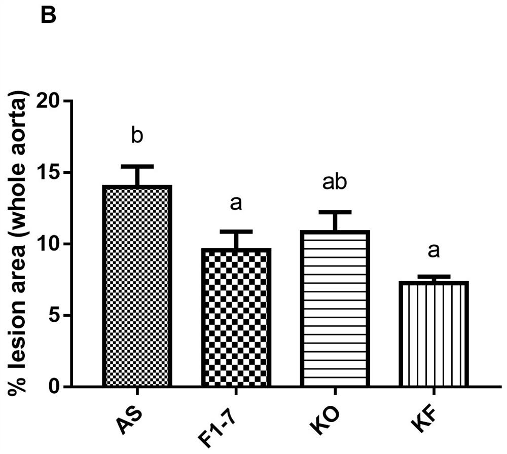 Preparation method and application of bifidobacterium animalis F1-7 and Euphausia superba oil composition for improving atherosclerosis lipid metabolism
