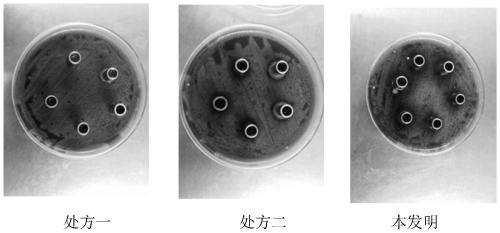 Traditional Chinese medicine composition for treating respiratory diseases of animals