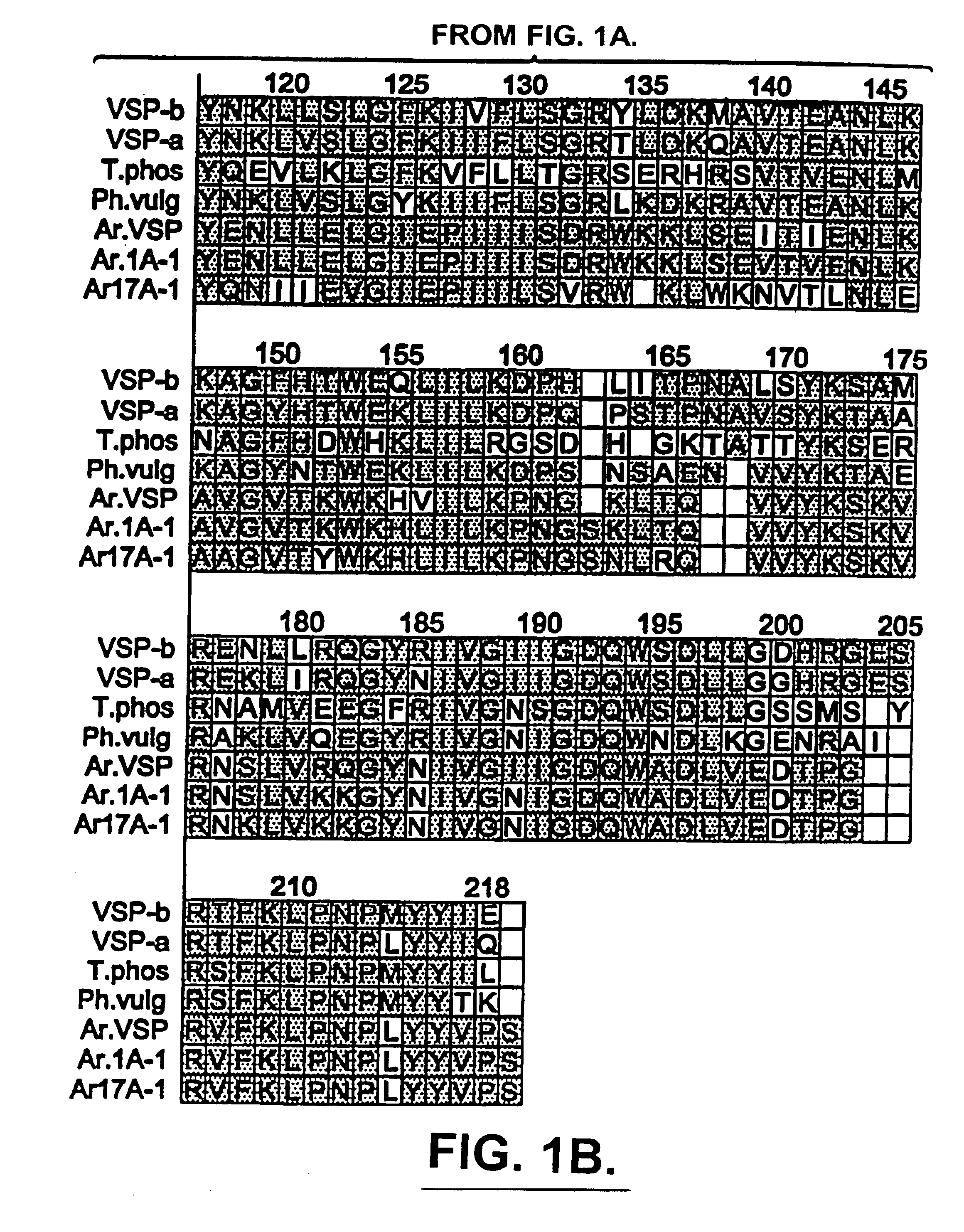 Compositions and methods for altering amino acid content of proteins