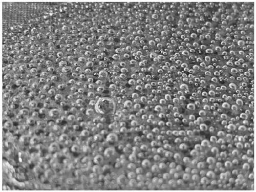Anti-aging slow-release soluble microneedle based on polylactic acid compound and preparation method of microneedle
