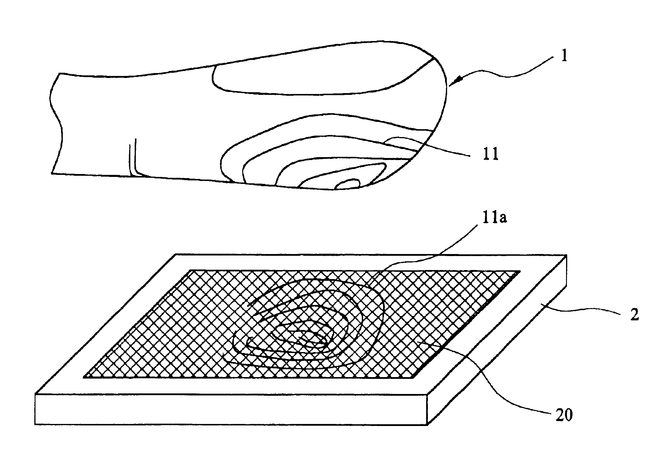 Capacitive fingerprint sensor against ESD damage and contamination interference