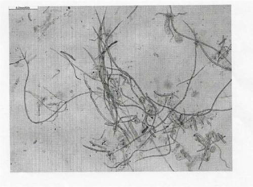 Combined process taking gramineous plants as raw materials