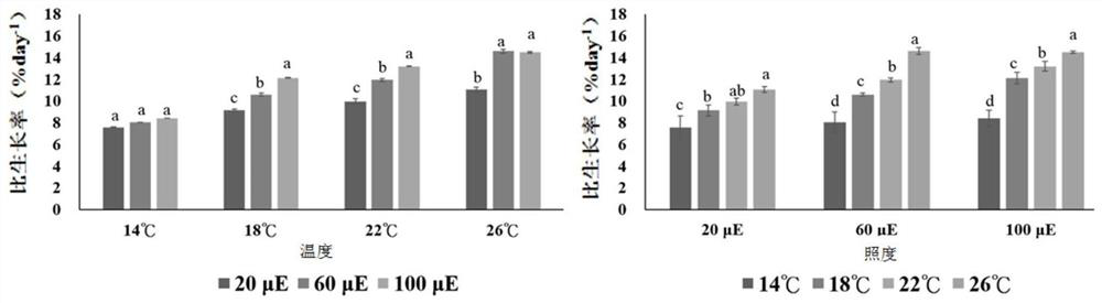 Culture method for increasing content of phycoerythrin in acrochaetiaceae