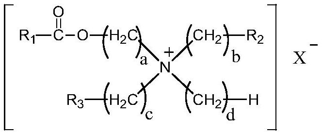 A kind of detergent composition with antibacterial function and preparation method thereof