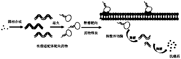 Medicine aptamer constructed by nucleoside analogue medicine molecules and preparation method and application thereof