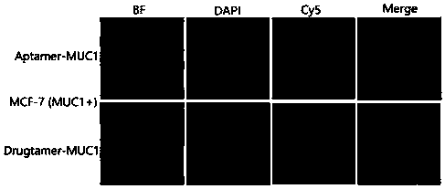 Medicine aptamer constructed by nucleoside analogue medicine molecules and preparation method and application thereof