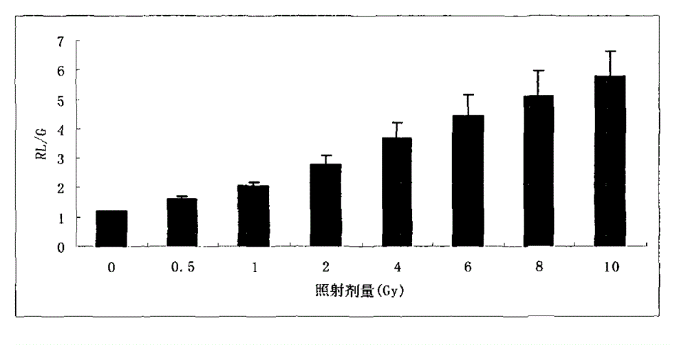 Method for evaluating DNA (Deoxyribose Nucleic Acid) damages of peripheral blood lymphocytes caused by ionizing radiation