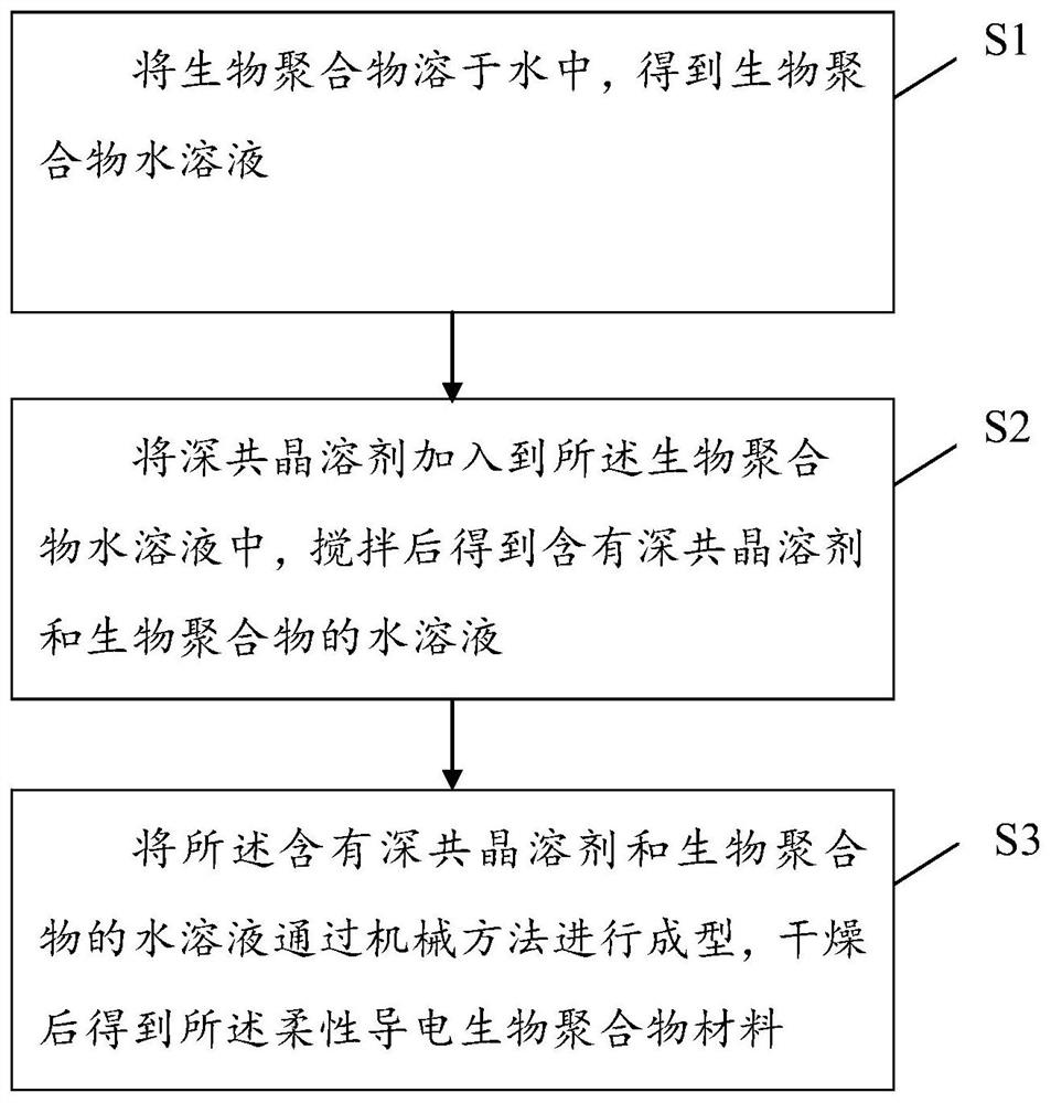 Flexible conductive biopolymer material as well as preparation method and application thereof