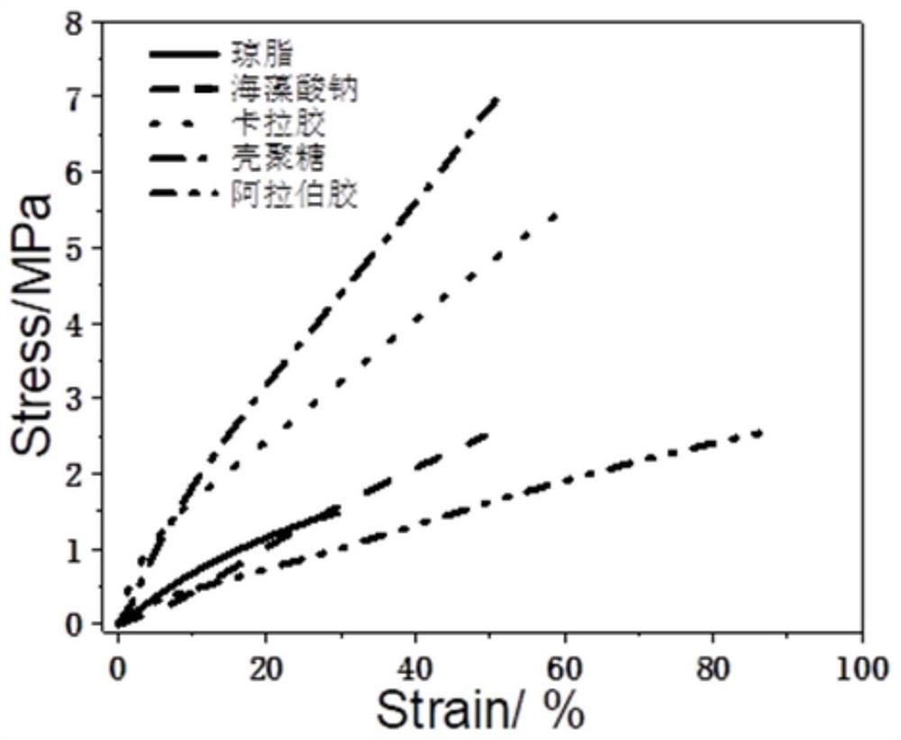 Flexible conductive biopolymer material as well as preparation method and application thereof