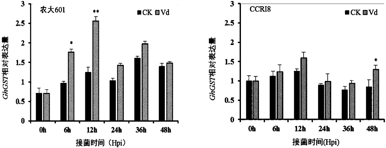 GST gene cluster of upland cotton and application thereof in improving verticillium wilt resistance of plants