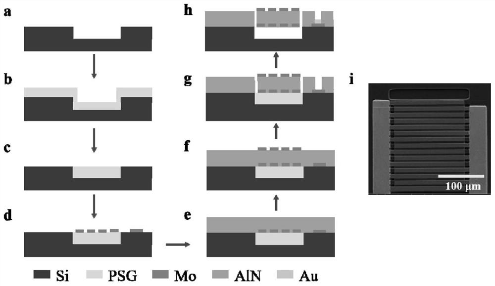 Method for detecting biomolecules by using Lamb wave resonator and microfluidic device