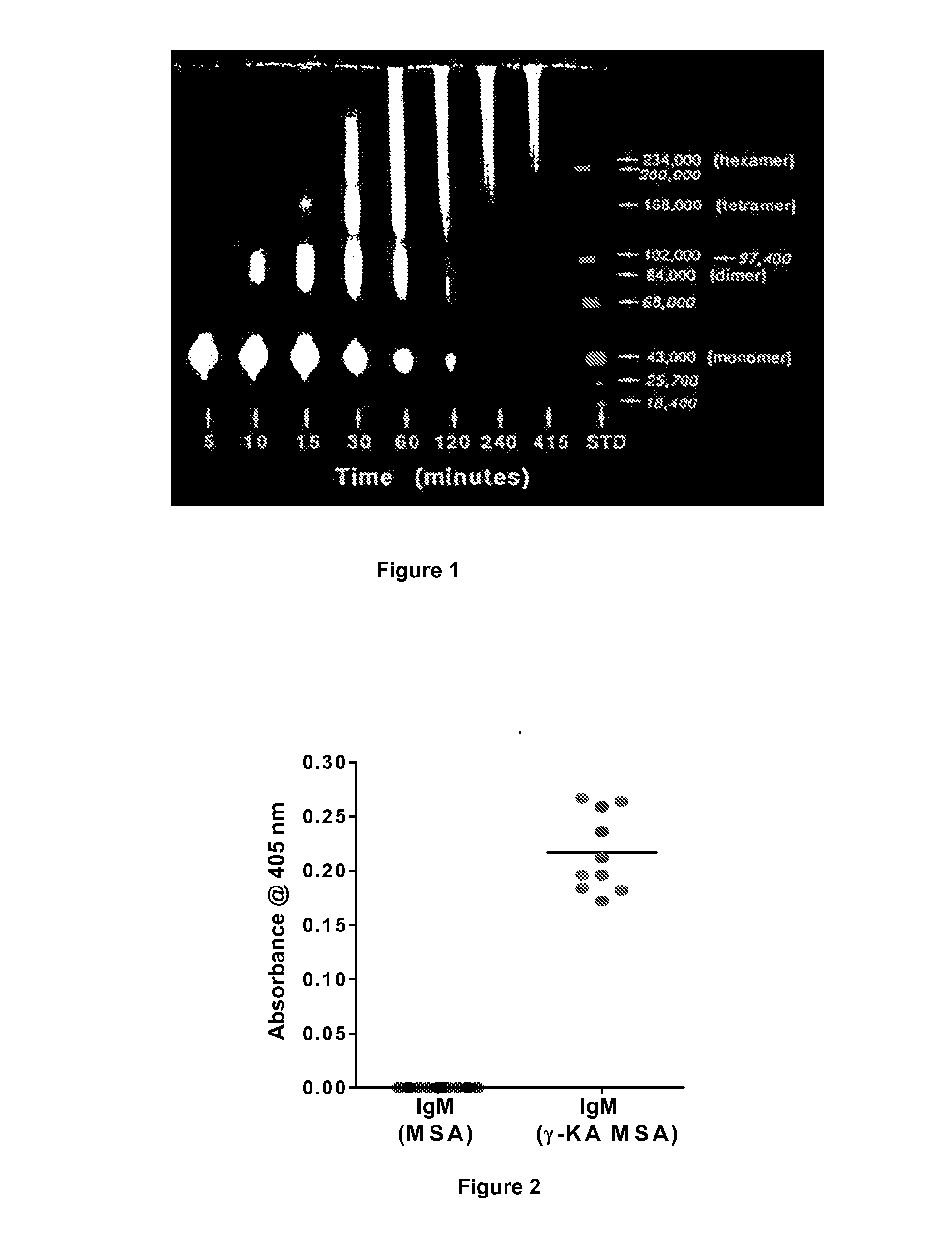 Methods for treating inflammation and hypertension with gamma-ketoaldehyde skavengers