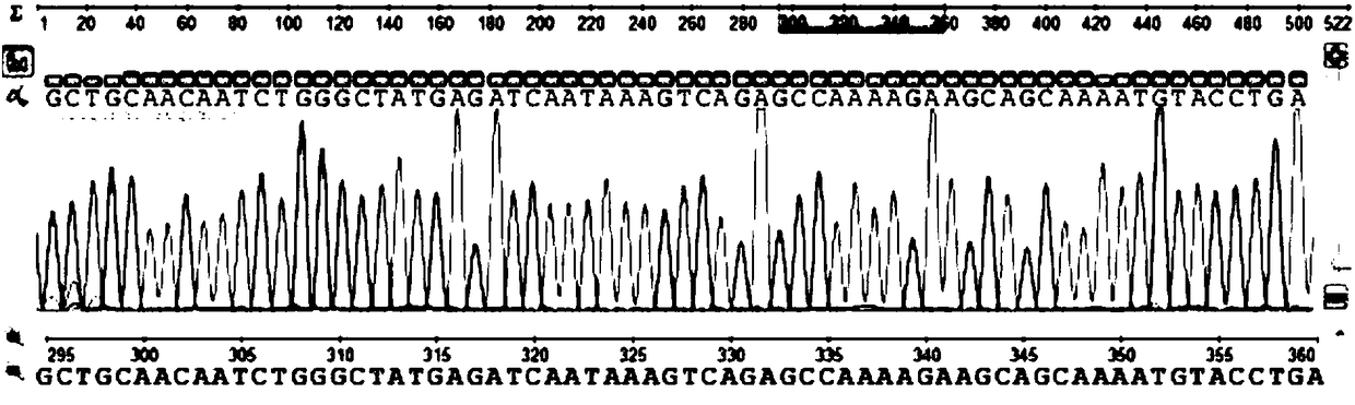 Detection method of hypertriglyceridemia mutant site and detection kit