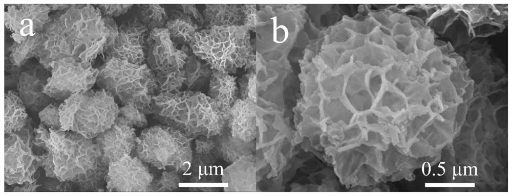 A carbon-coated nickel cobalt oxide multi-dimensional assembled microsphere negative electrode material and preparation method