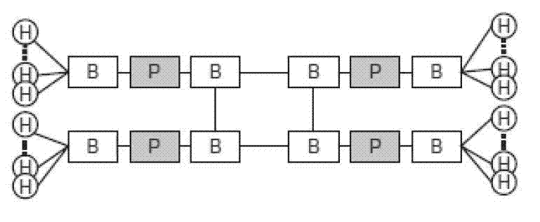 Software defined network (SDN) broadcast processing method based on cycle trigger agent