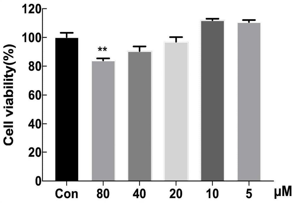 Application of small molecule compound in preparation of medicine for resisting central nervous system inflammation