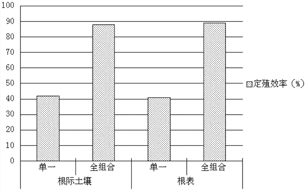 Trichoderma biological granule and its preparation method and application