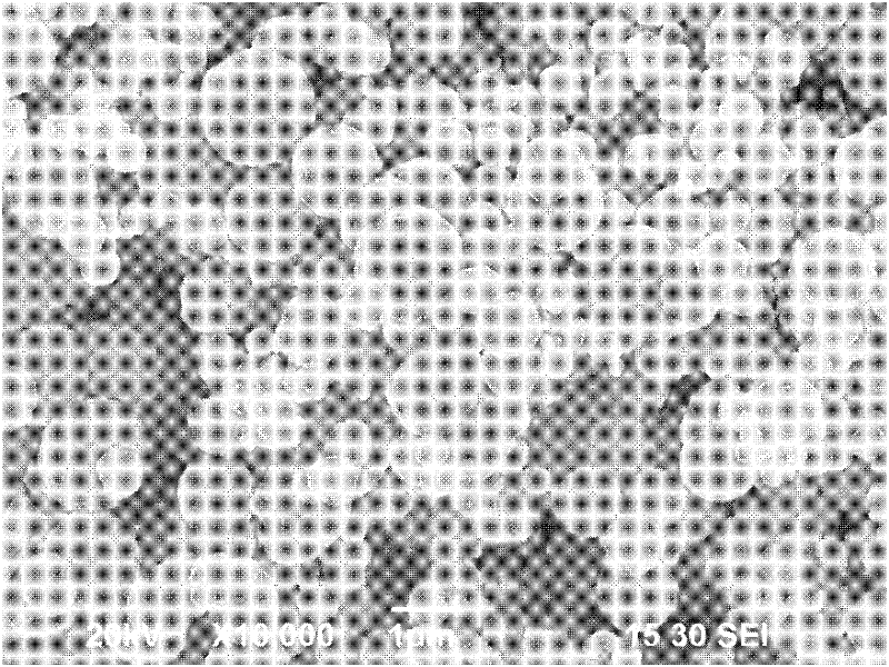 Surface modified particle diameter mixed silver powder and preparation method thereof