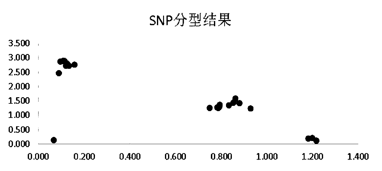Individual nutrients deficiency risk assessment method based on SNP (Single Nucleotide Polymorphism) site