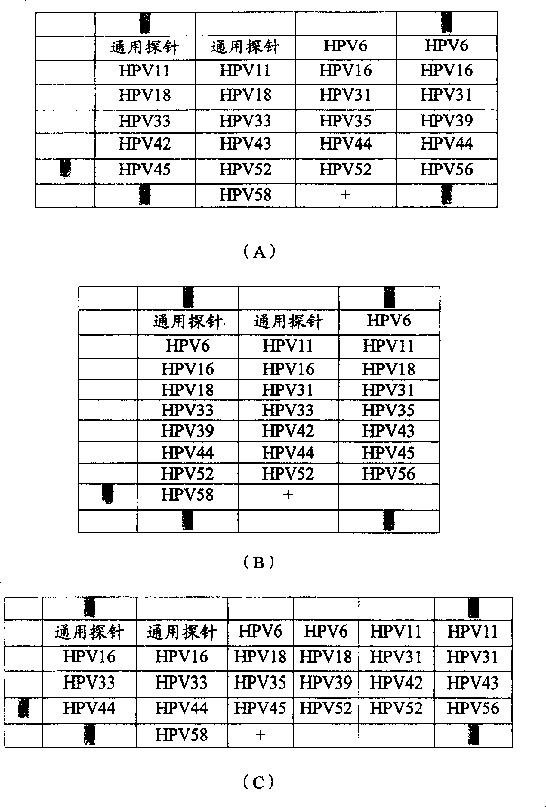 Diagnosis chip for testing subtype of human papilomavirus gene and preparation method and test method