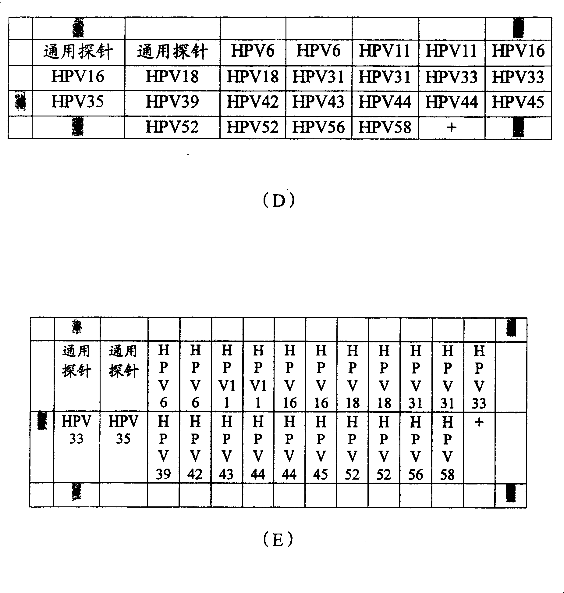 Diagnosis chip for testing subtype of human papilomavirus gene and preparation method and test method