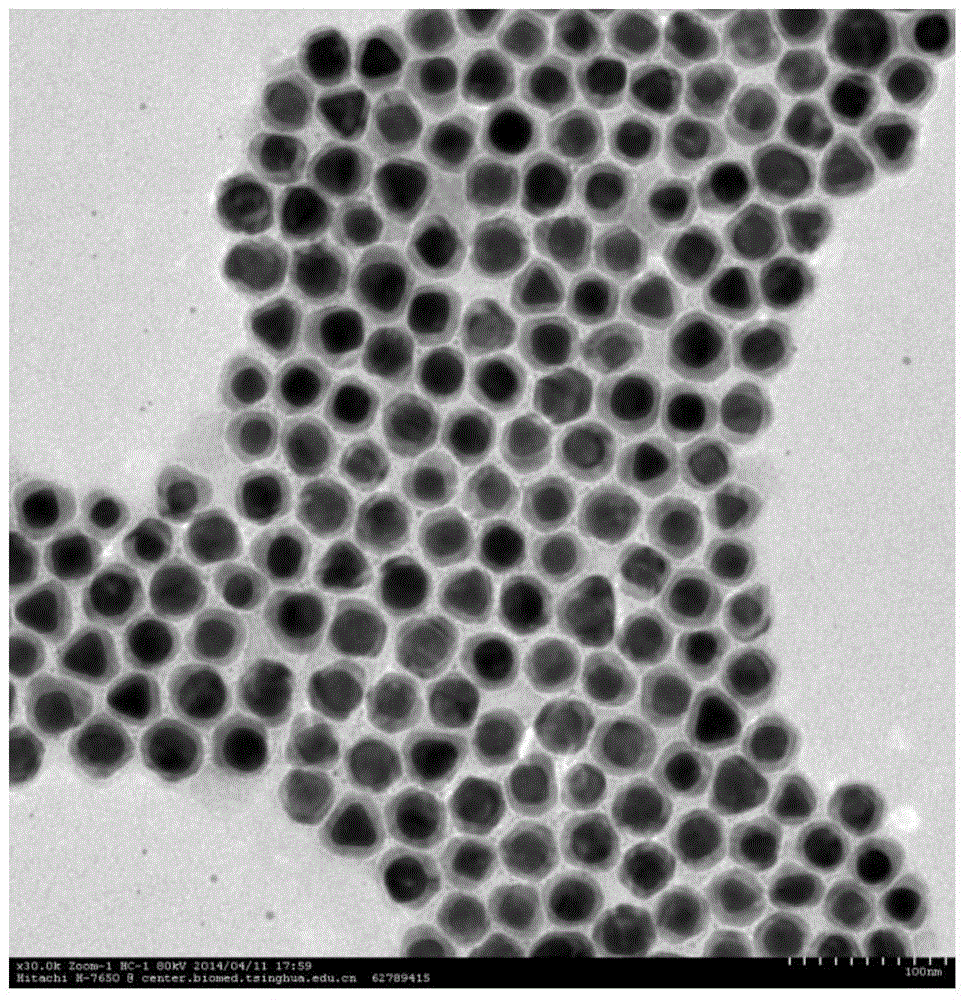 Novel surface plasma enhanced high-efficiency photocatalytic water splitting composite catalyst