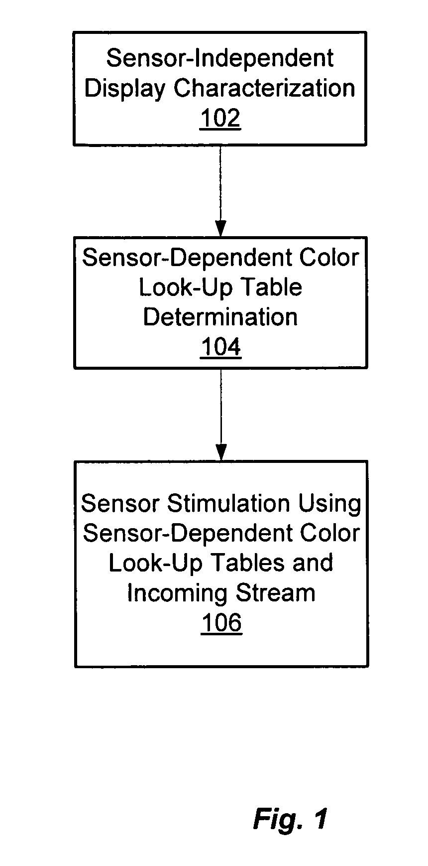 Sensor and display-independent quantitative per-pixel stimulation system