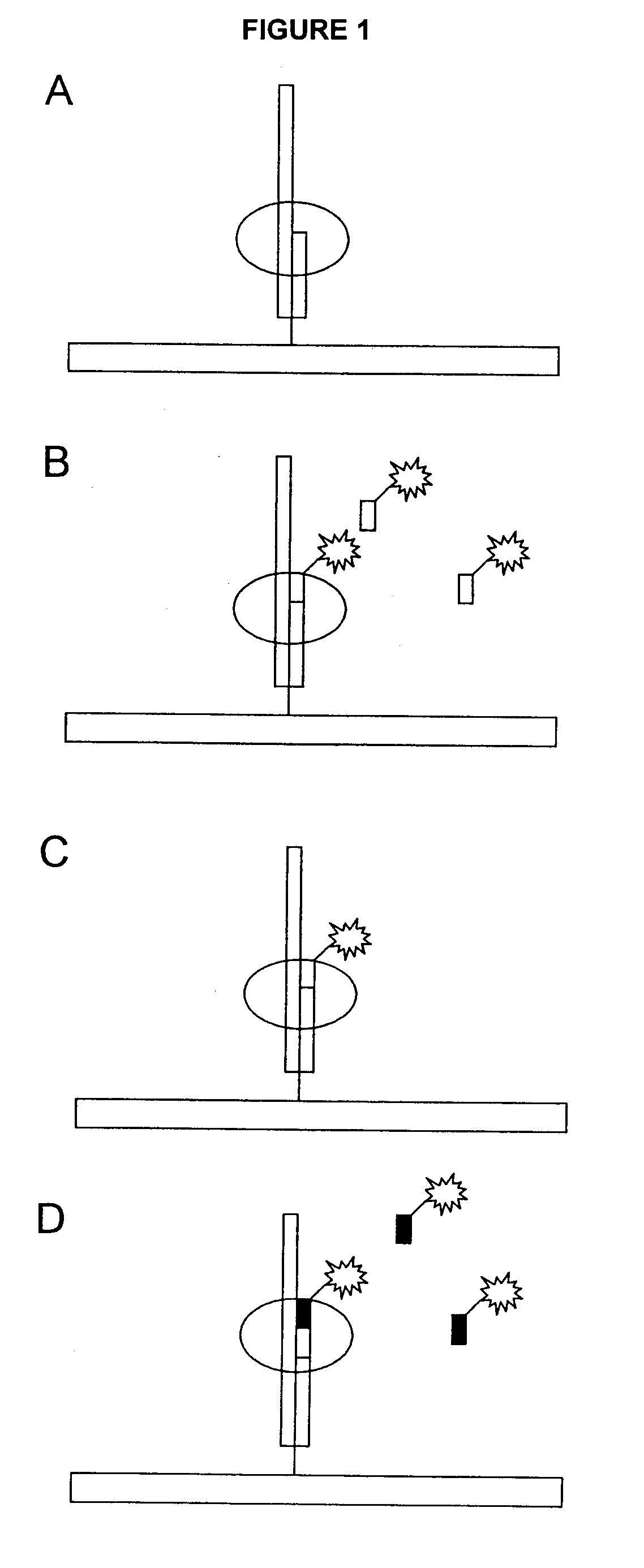 Nucleotide Compositions and Uses Thereof