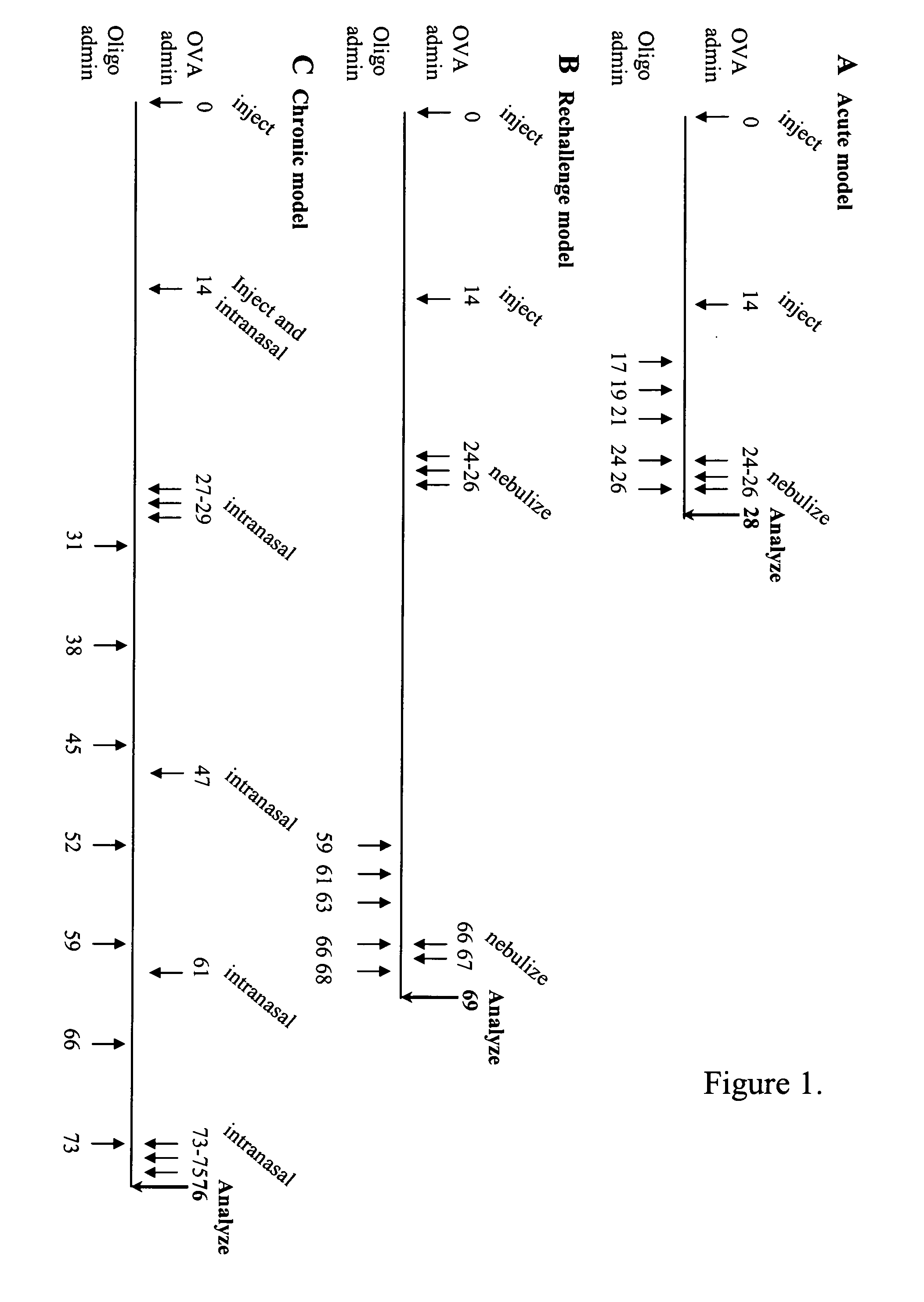 Compositions and their uses directed to thymus and activation-regulated chemokine (TARC)