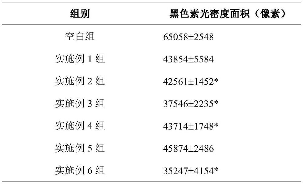 Skin care product containing plant extract, composition and preparation method and application of skin care product