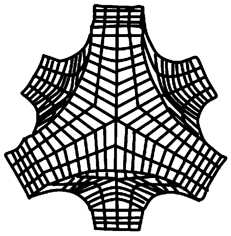 Protective helmet with negative Poisson's ratio effect liner and design method thereof