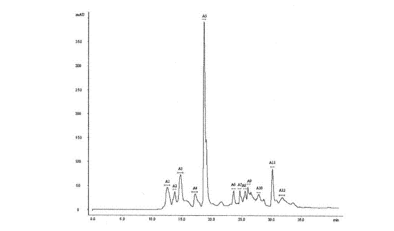 Novel loach protein antihypertensive peptide and preparation method thereof