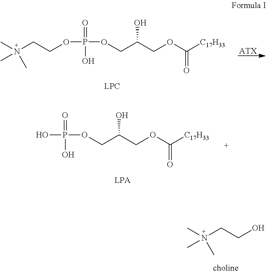 Autotaxin inhibitors