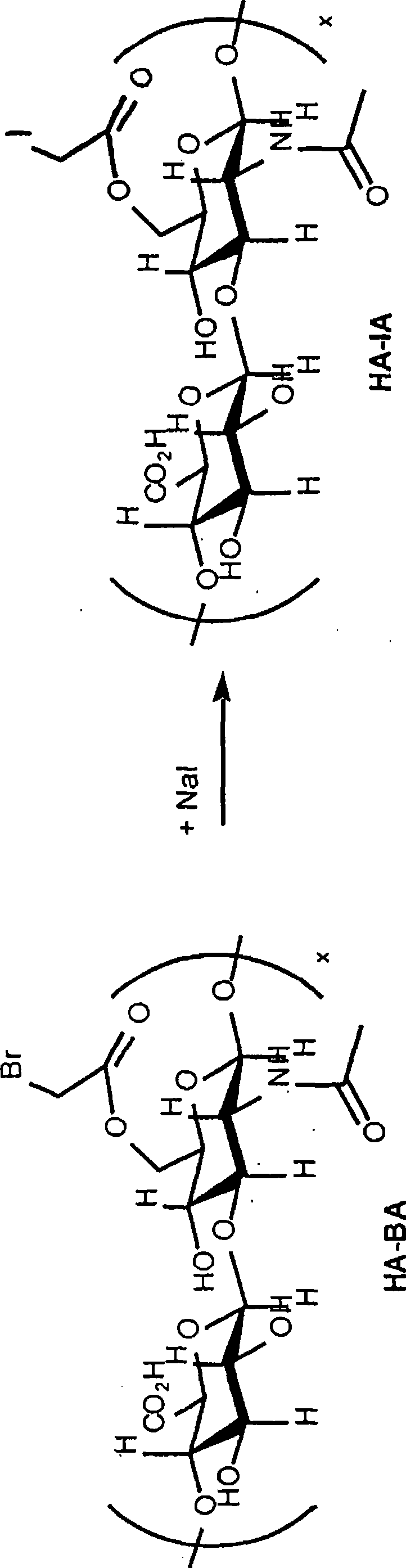 Macromolecules modified with electrophilic groups and methods of making and using thereof