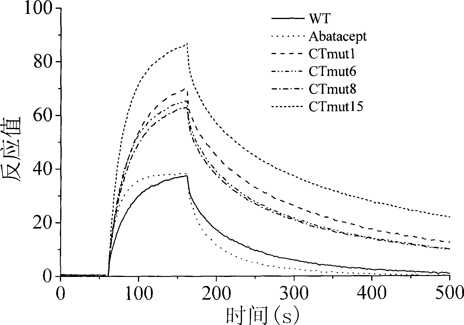 A high-affinity CTLA4-IG fusion protein mutant