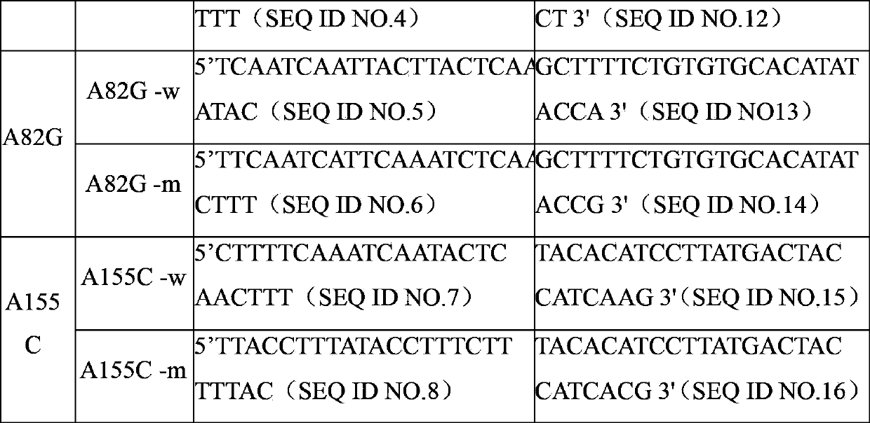 XRCC2 gene mutation detection specific primers and liquid chip