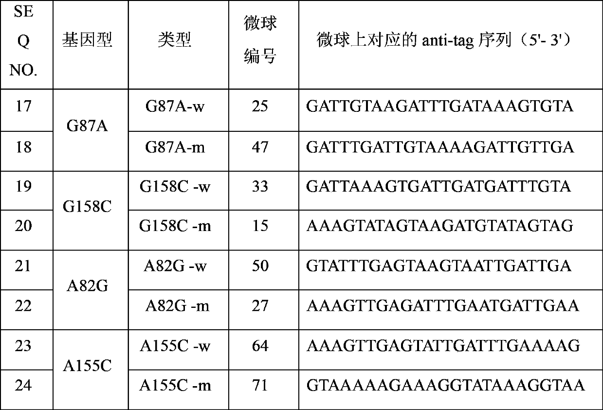XRCC2 gene mutation detection specific primers and liquid chip