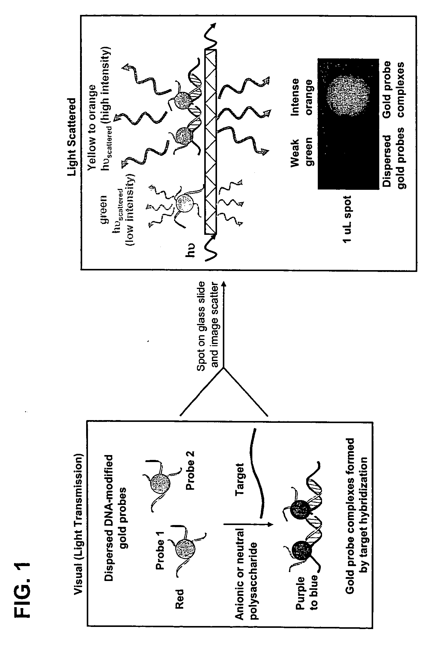 Method for detecting analytes based on evanescent illumination and scatter-based detection of nanoparticle probe complexes