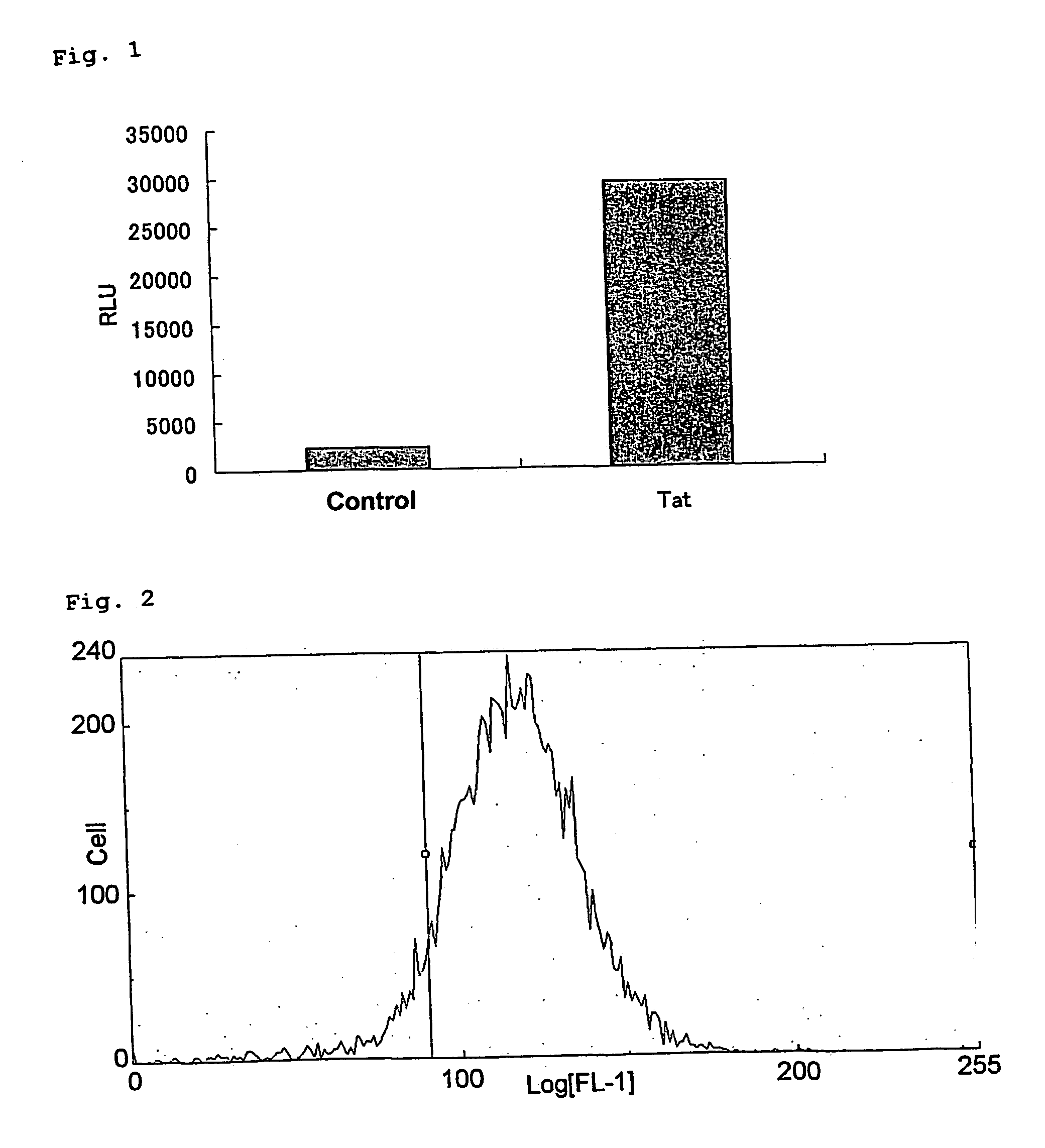 T cell line and use thereof