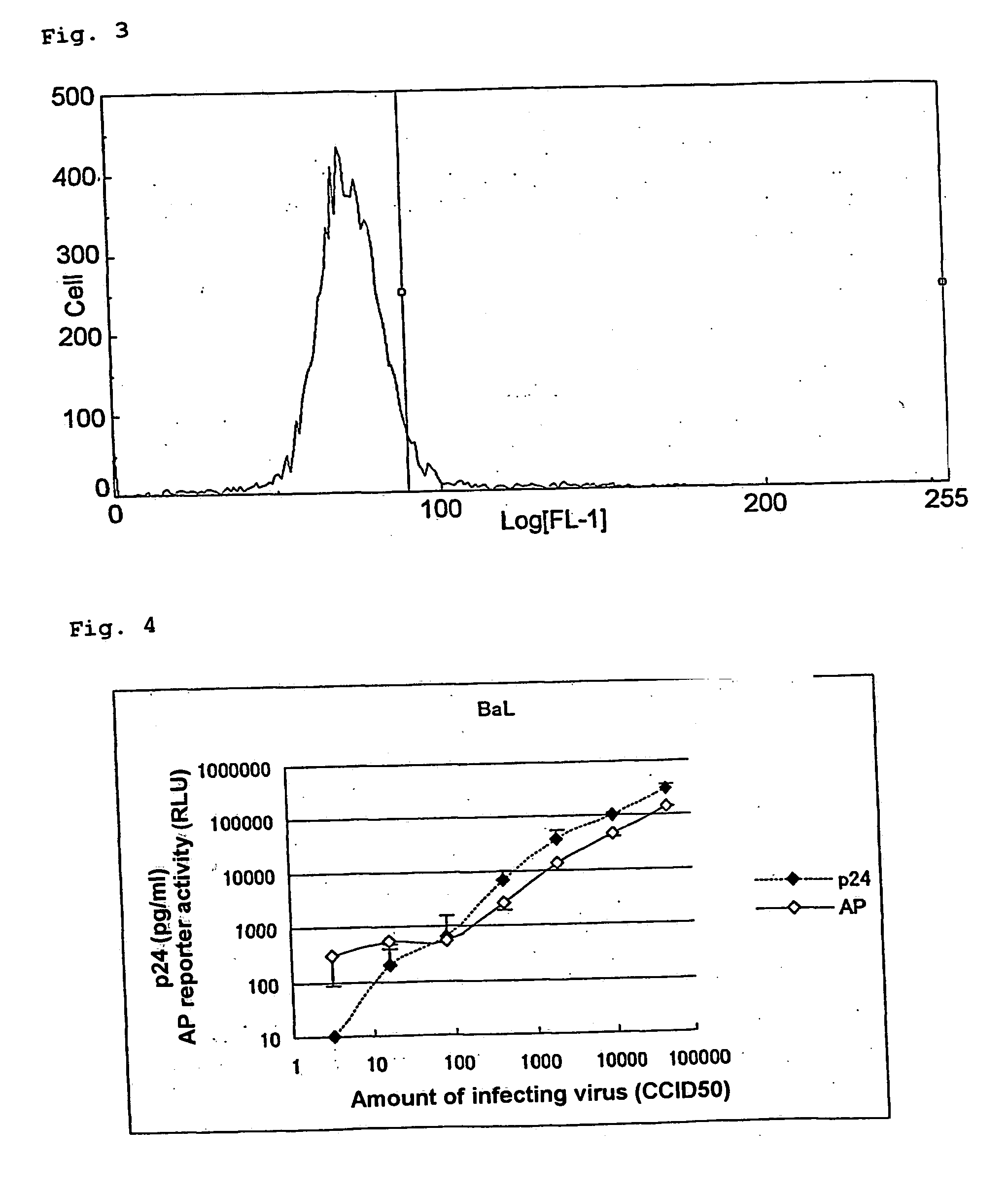T cell line and use thereof